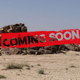 Riyadh Petroglyph Hike and Desert Camp Lunch