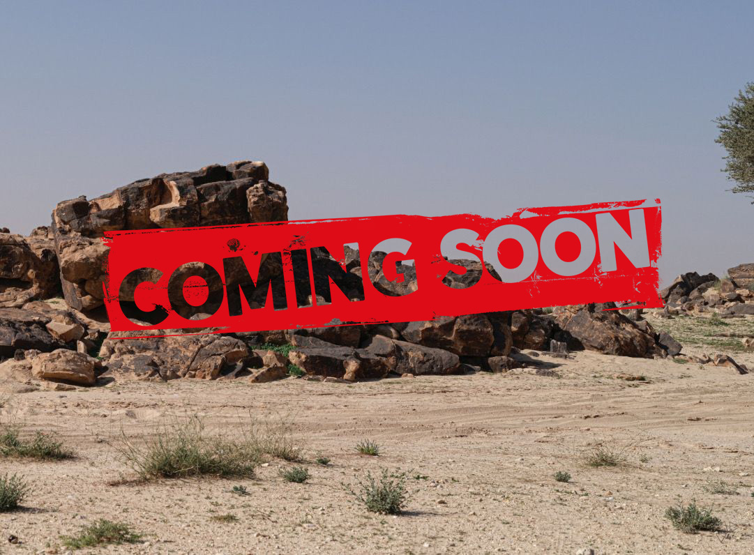 Riyadh Petroglyph Hike and Desert Camp Lunch