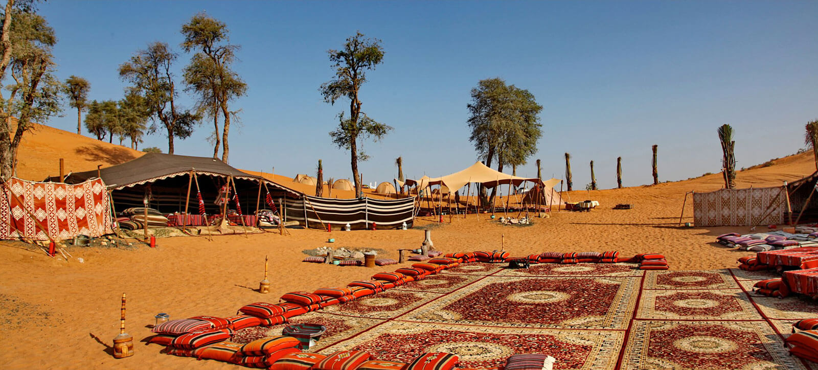 Bedouin Experience